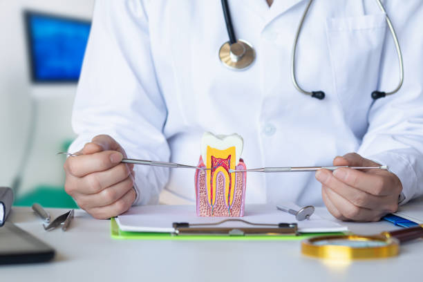 Best Pediatric Emergency Dentist in Cashmere, WA